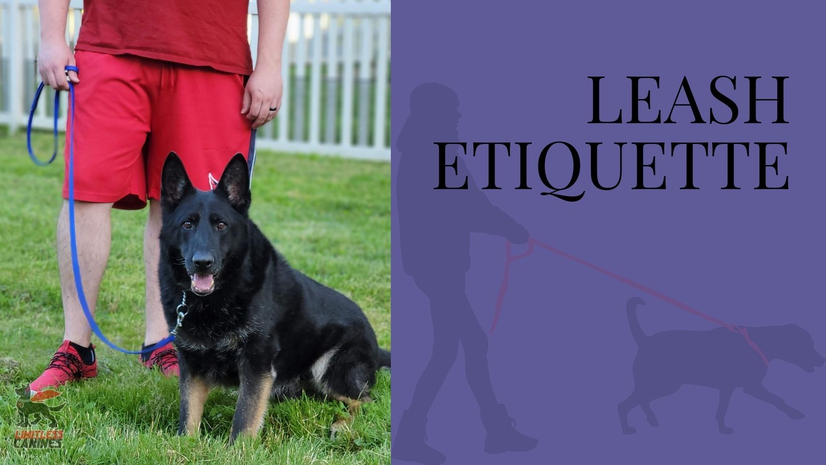 Limitless canines leash etiquette Sirius